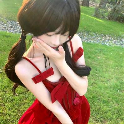 圣方济传